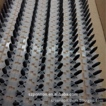 Black Drywall Screw